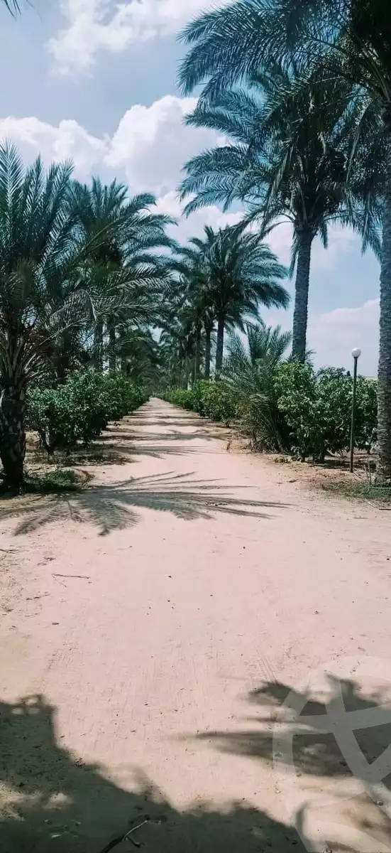 https://aqarmap.com.eg/ar/listing/6025421-for-sale-cairo-el-sheikh-zayed-city-alex-cairo-desert-road-kmbwnd-fy-tryq-skndry-lshrwy