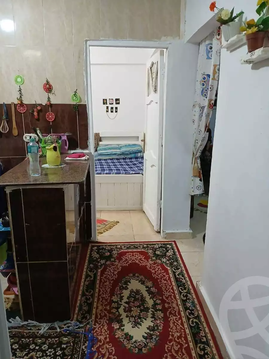 https://aqarmap.com.eg/en/listing/6028045-for-sale-alexandria-l-jmy-lbytsh-el-hay-st
