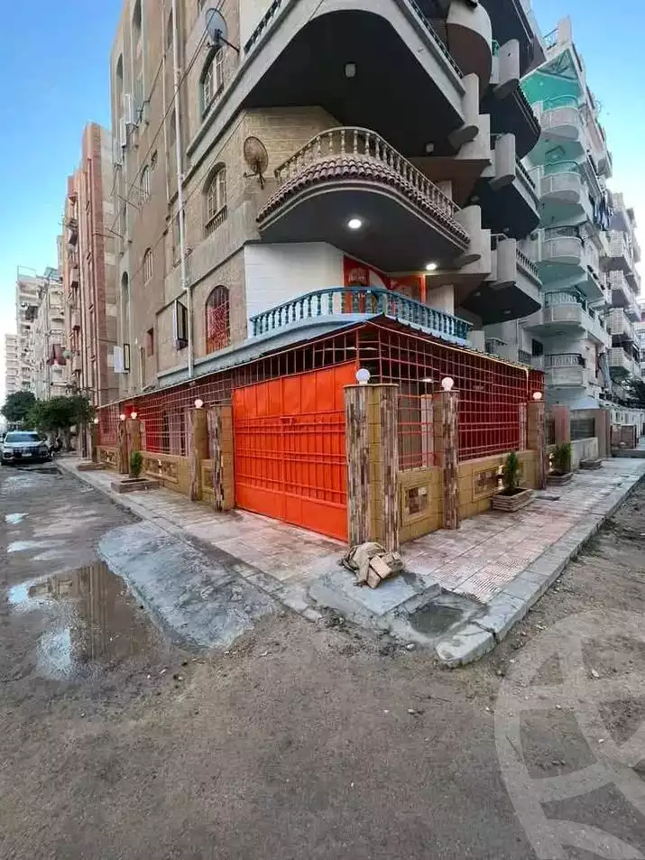 https://aqarmap.com.eg/en/listing/6030366-for-sale-alexandria-l-jmy-shataa-el-nakheel