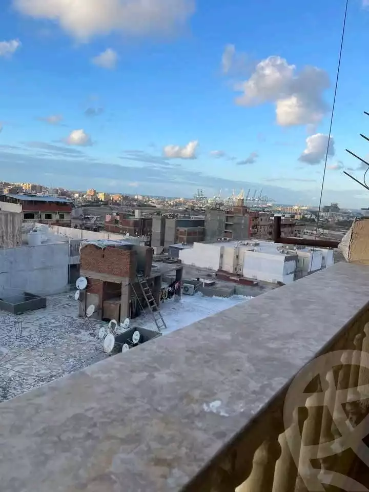 https://aqarmap.com.eg/en/listing/6034172-for-sale-alexandria-l-jmy-lbytsh-el-reyad-st