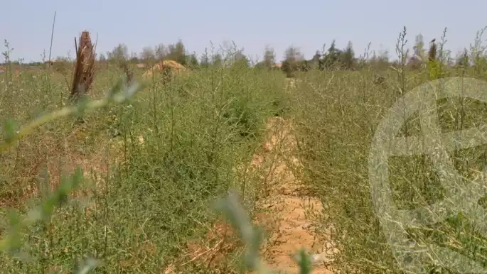 https://aqarmap.com.eg/en/listing/6034828-for-sale-el-fayoum-lfywm-ljdyd