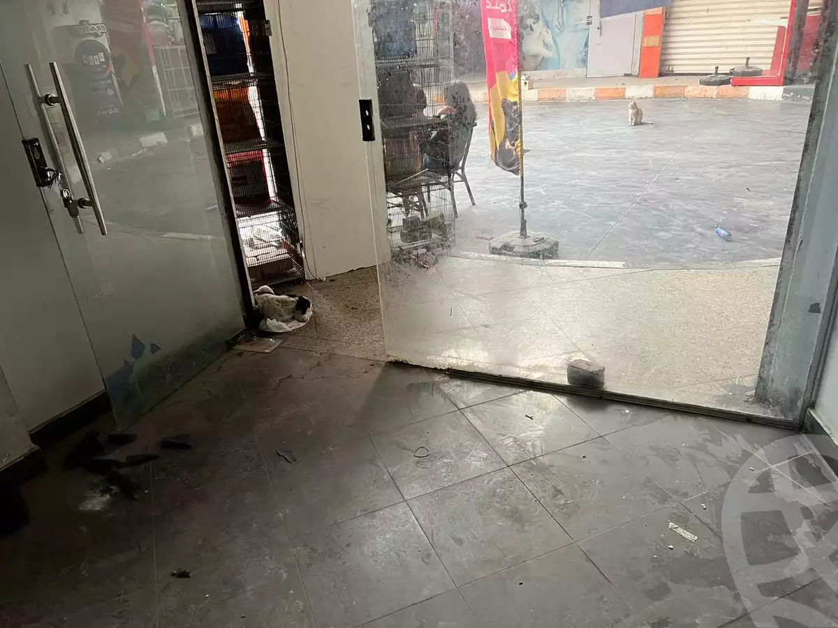 https://aqarmap.com.eg/en/listing/6036553-for-rent-cairo-new-cairo-south-investors-el-nasr-st