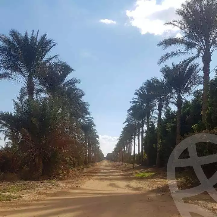 https://aqarmap.com.eg/en/listing/5944560-for-sale-el-fayoum-fayoum-fayoum-city
