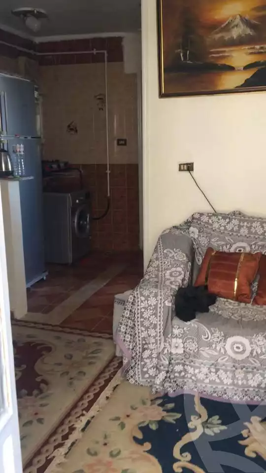https://aqarmap.com.eg/en/listing/6039518-for-sale-alexandria-moharram-bey-al-mohtaseb-st
