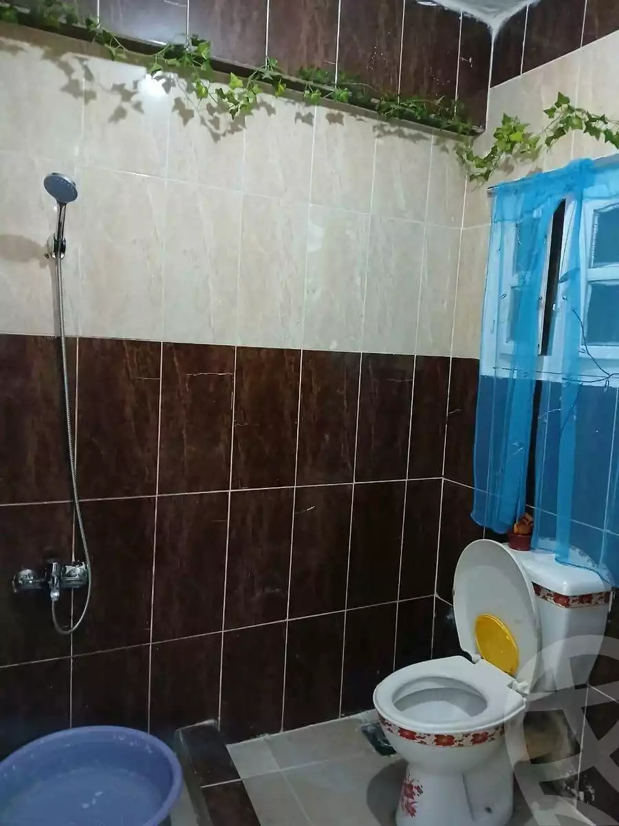 https://aqarmap.com.eg/ar/listing/6042796-for-sale-alexandria-l-jmy-lbytsh-princess-st