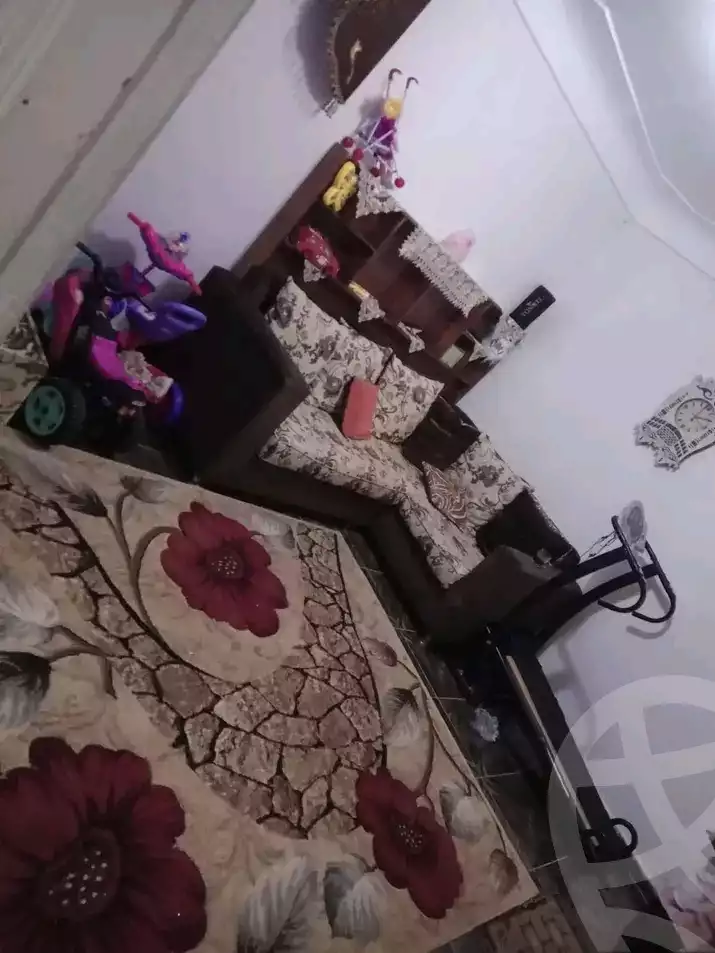 https://aqarmap.com.eg/ar/listing/6045126-for-sale-alexandria-l-jmy-lbytsh-al-aeda-al-kadema-st