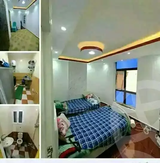 https://aqarmap.com.eg/en/listing/6048451-for-sale-alexandria-miami-khld-bn-lwlyd