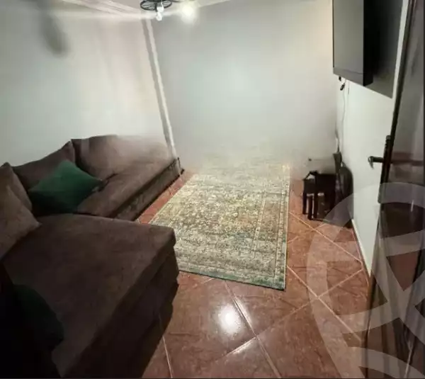 https://aqarmap.com.eg/ar/listing/6049566-for-sale-alexandria-ganaklis