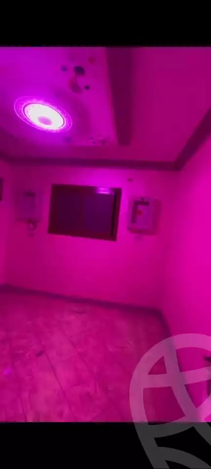 https://aqarmap.com.eg/en/listing/6050068-for-rent-cairo-el-agouza-shaheen-st