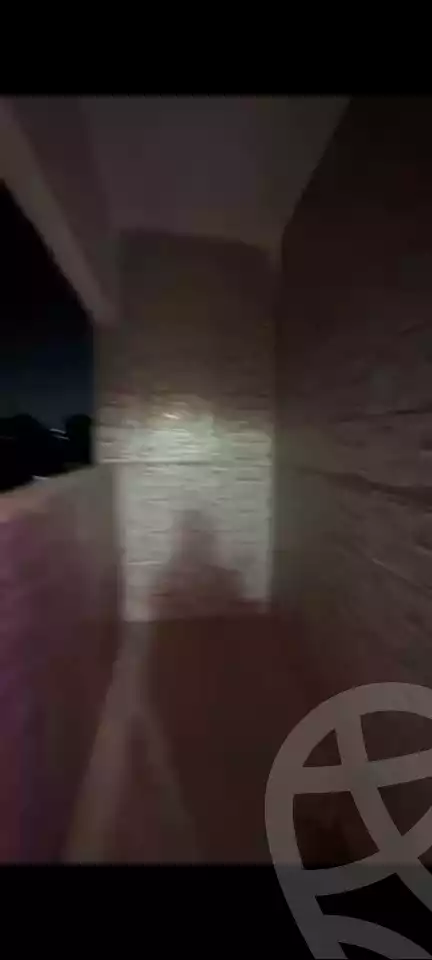 https://aqarmap.com.eg/en/listing/6050068-for-rent-cairo-el-agouza-shaheen-st