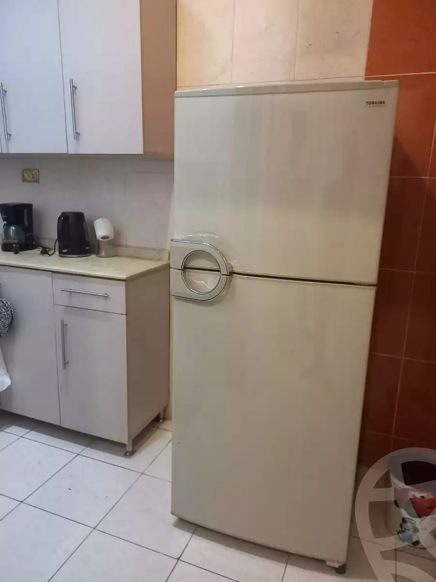 https://aqarmap.com.eg/en/listing/6057564-for-rent-cairo-al-zamalek
