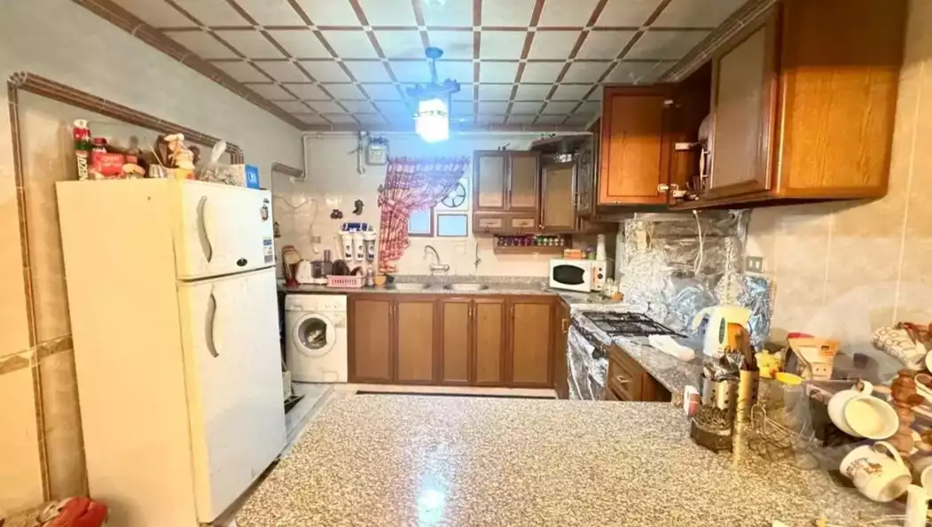 https://aqarmap.com.eg/ar/listing/6058258-for-sale-alexandria-ganaklis