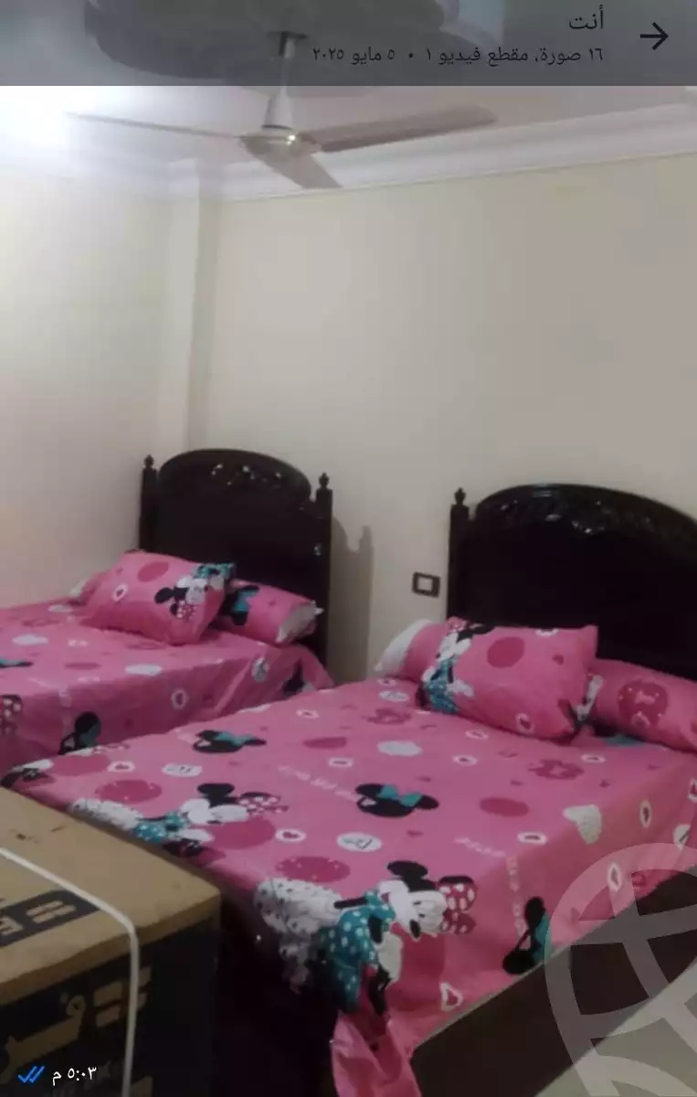 https://aqarmap.com.eg/en/listing/6058356-for-rent-monufia-sadat-city-hy-lnwr
