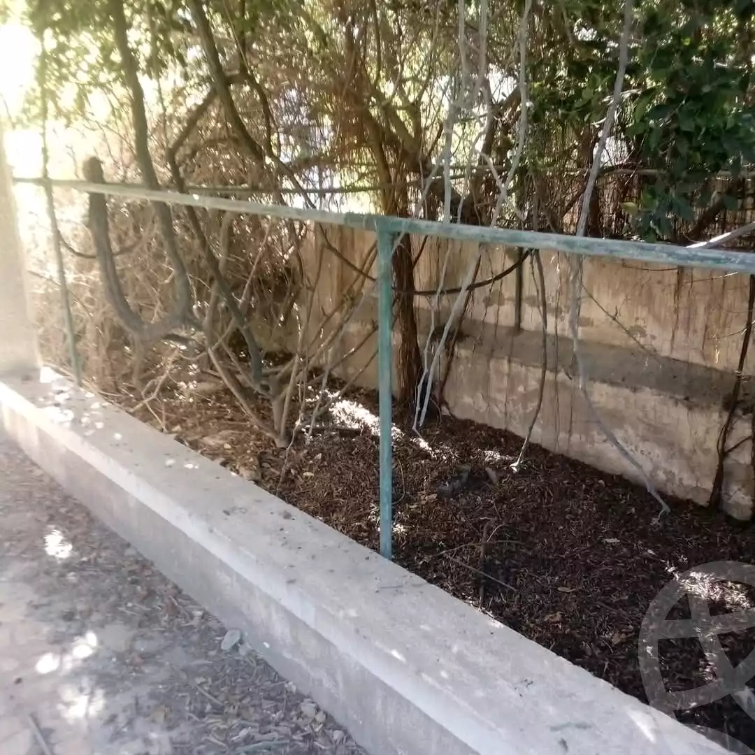https://aqarmap.com.eg/ar/listing/6059474-for-sale-alexandria-l-jmy-lbytsh