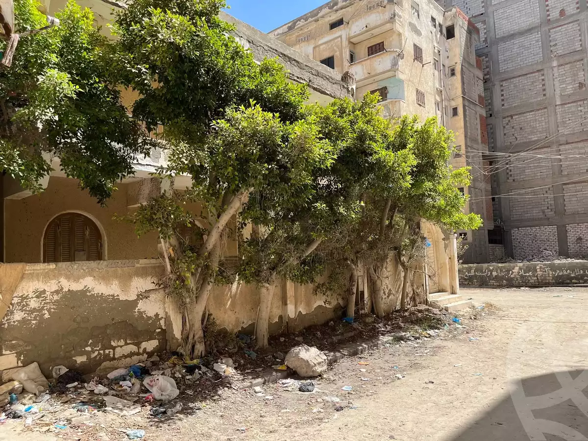 https://aqarmap.com.eg/en/listing/6060958-for-sale-alexandria-l-jmy-bw-ywsf