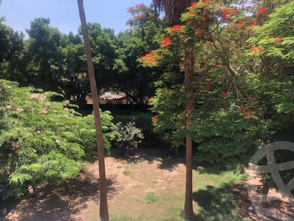 https://aqarmap.com.eg/en/listing/6067830-for-sale-cairo-al-zamalek-shr-hmd-hshmt