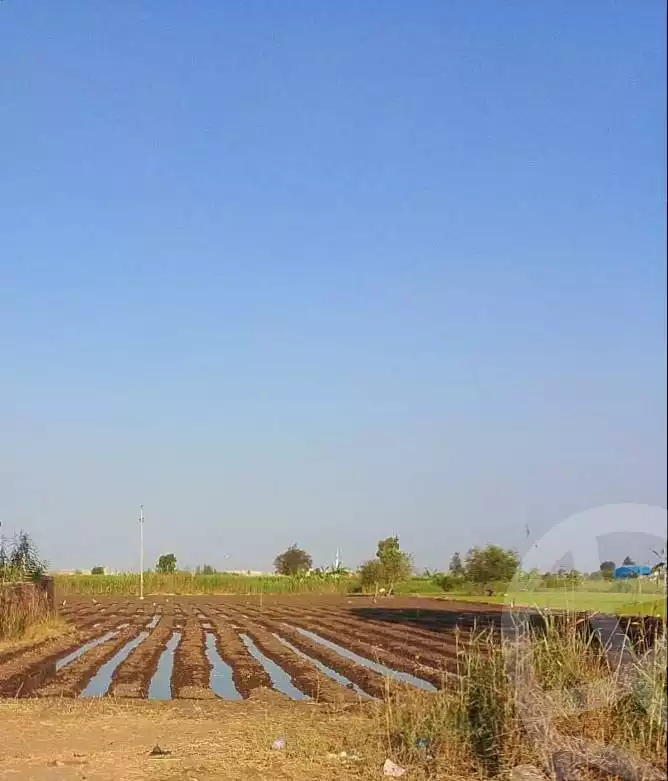 https://aqarmap.com.eg/ar/listing/6068178-for-sale-dakahlia-belqas-besndela