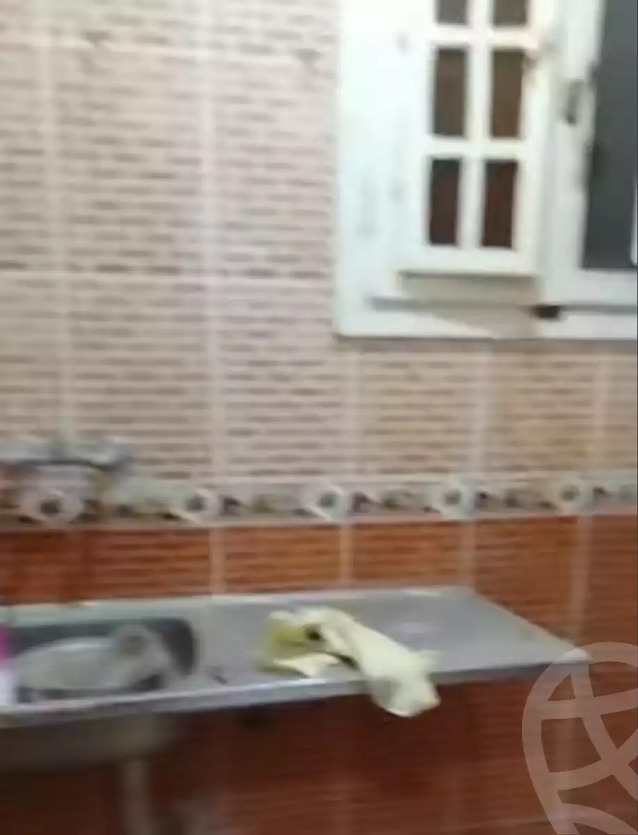 https://aqarmap.com.eg/en/listing/6068567-for-sale-alexandria-l-jmy-el-hanouvel-gabir-hafez-st