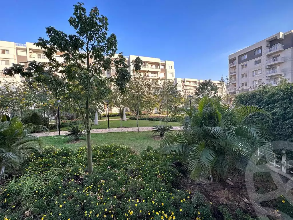 https://aqarmap.com.eg/ar/listing/6069658-for-rent-cairo-new-cairo-madinaty-tenth-zone-buildings-group-103