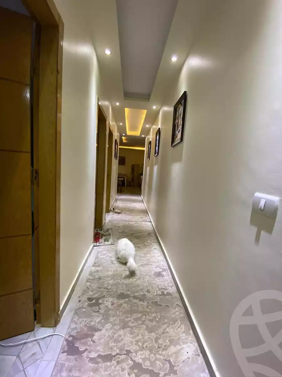 https://aqarmap.com.eg/en/listing/6070093-for-rent-cairo-mokattam-el-hadabah-el-wosta-el-mantaqa-el-olaa