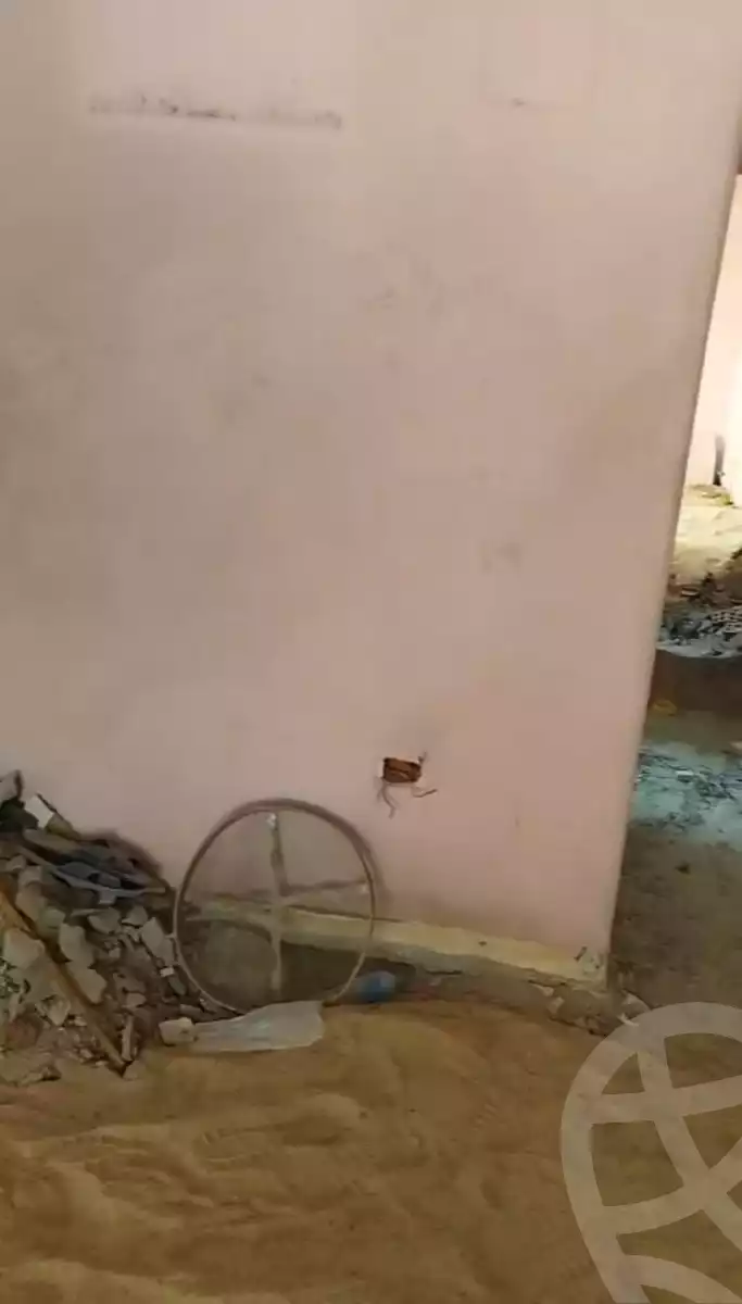 https://aqarmap.com.eg/en/listing/6071762-for-sale-cairo-el-haram-el-talbya-farid-el-sebaay-st