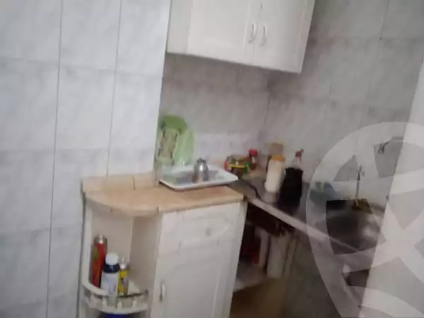 https://aqarmap.com.eg/en/listing/6073996-for-rent-cairo-nasr-city-abbas-el-akkad