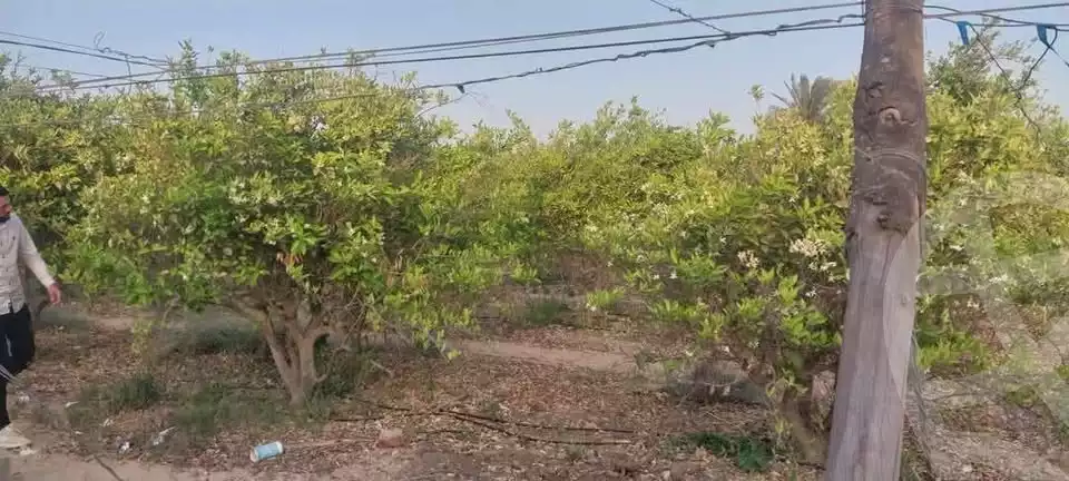 https://aqarmap.com.eg/ar/listing/6074780-for-sale-alexandria-cairo-alexandria-desert-road