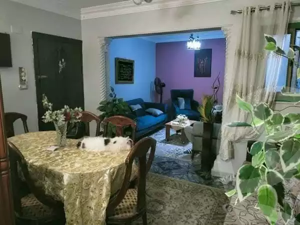 https://aqarmap.com.eg/ar/listing/6077991-for-sale-cairo-ain-shams-ain-shams-el-sharkia