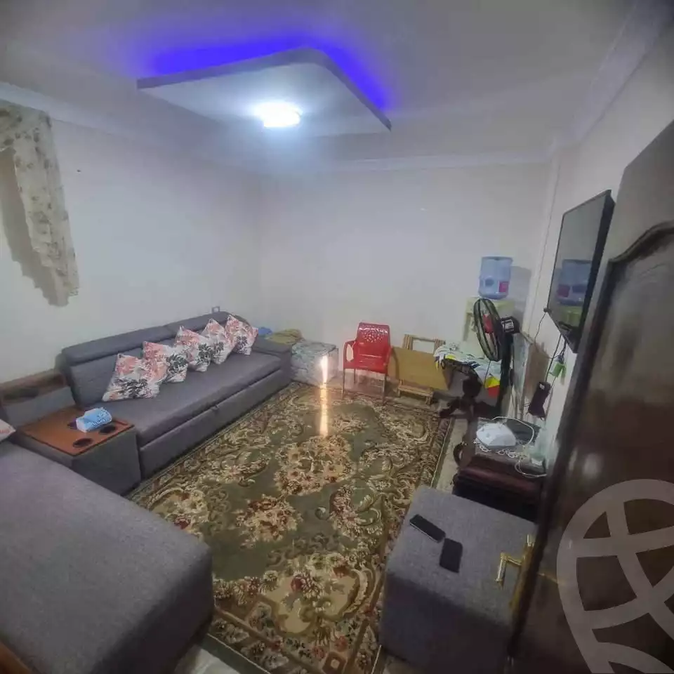 https://aqarmap.com.eg/en/listing/6078518-for-sale-alexandria-l-jmy-lbytsh-al-aeda-al-kadema-st