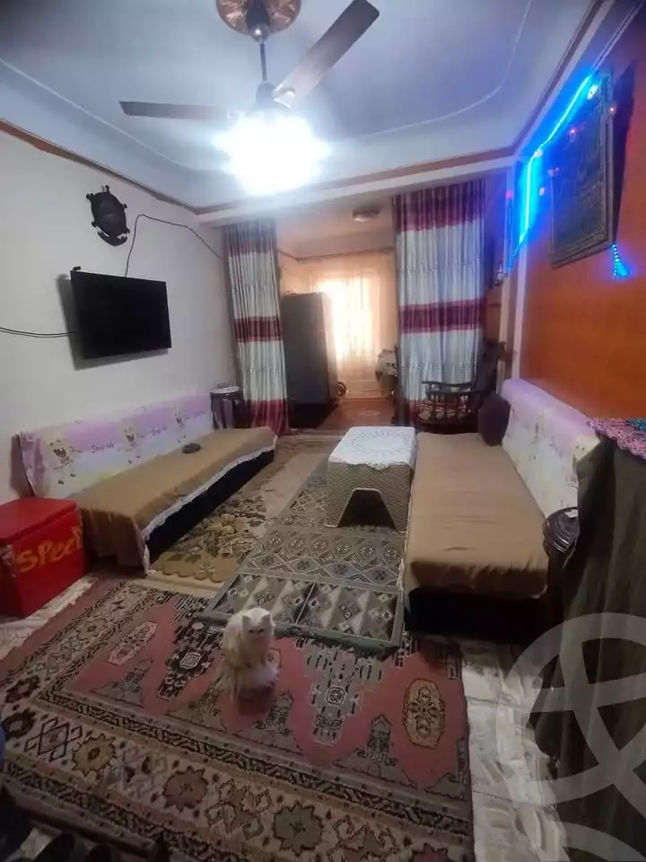 https://aqarmap.com.eg/en/listing/6078635-for-sale-alexandria-l-jmy-lbytsh-el-hay-st