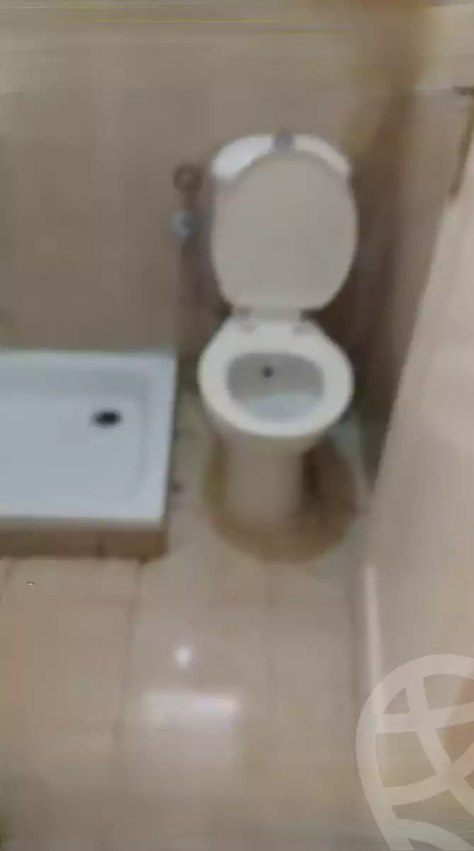 https://aqarmap.com.eg/en/listing/6085343-for-rent-monufia-shibin-el-kom