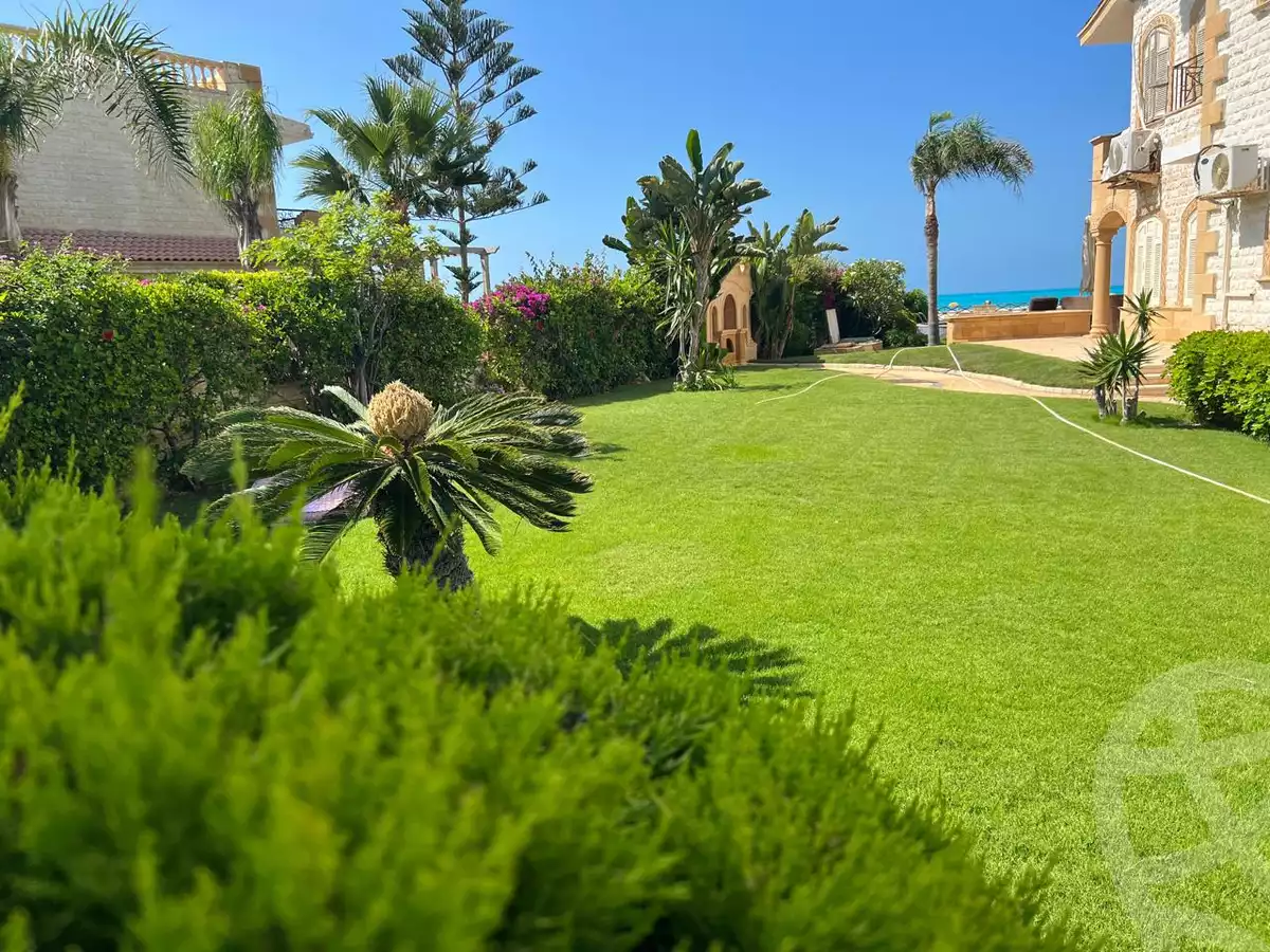 https://aqarmap.com.eg/ar/listing/6085954-for-rent-north-coast-el-alamein-marina-el-alamein