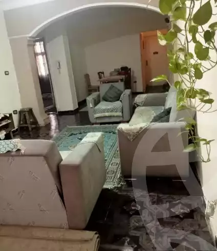 https://aqarmap.com.eg/en/listing/6086828-for-rent-cairo-nasr-city-1st-zone-mohamed-youssef-moussa-st