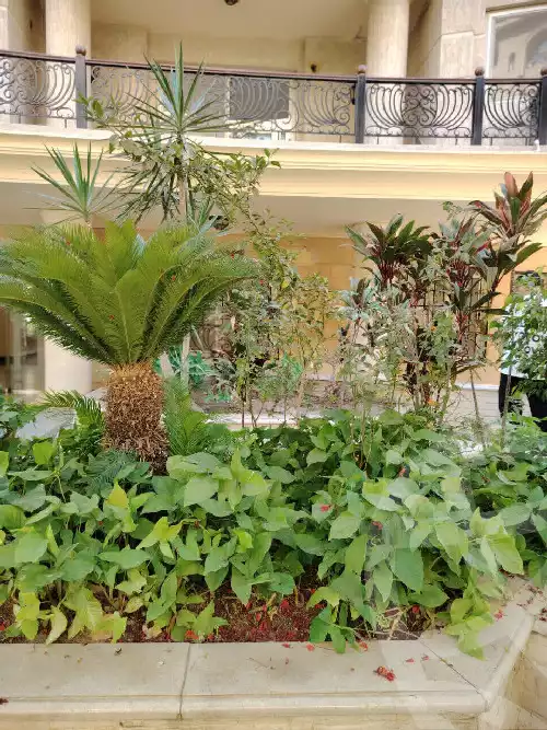https://aqarmap.com.eg/en/listing/6089198-for-rent-cairo-heliopolis-sheraton-morabaa-el-wozaraa