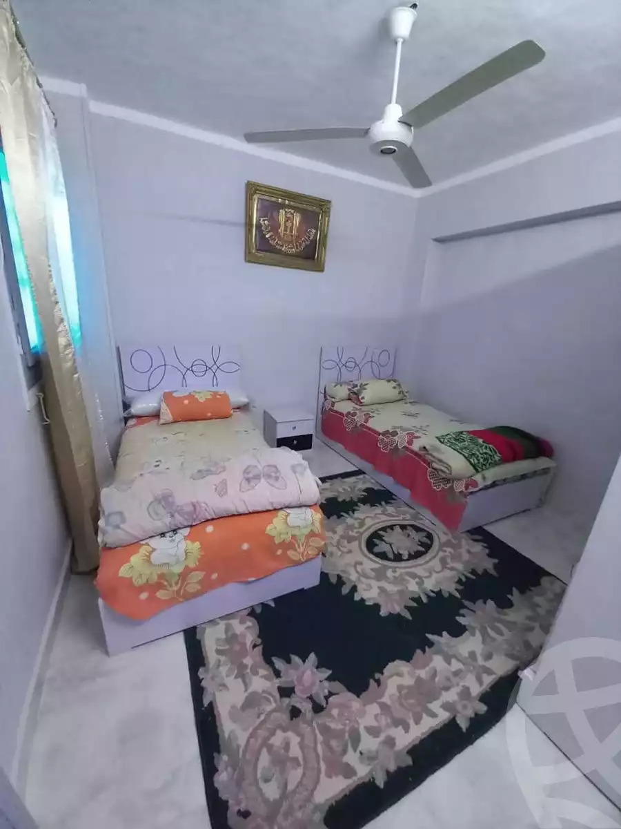 https://aqarmap.com.eg/en/listing/6091476-for-rent-suez-suez-city
