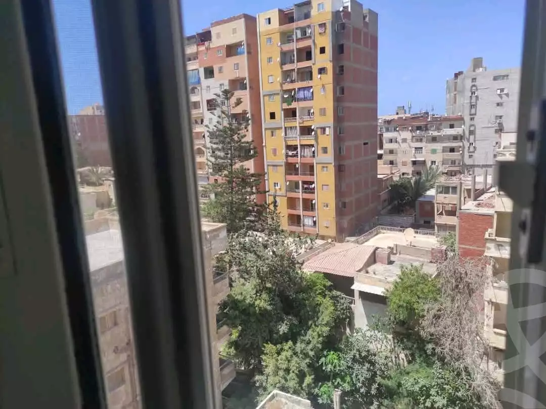 https://aqarmap.com.eg/en/listing/6093393-for-sale-alexandria-l-jmy-lbytsh-kafr-el-agamy-st