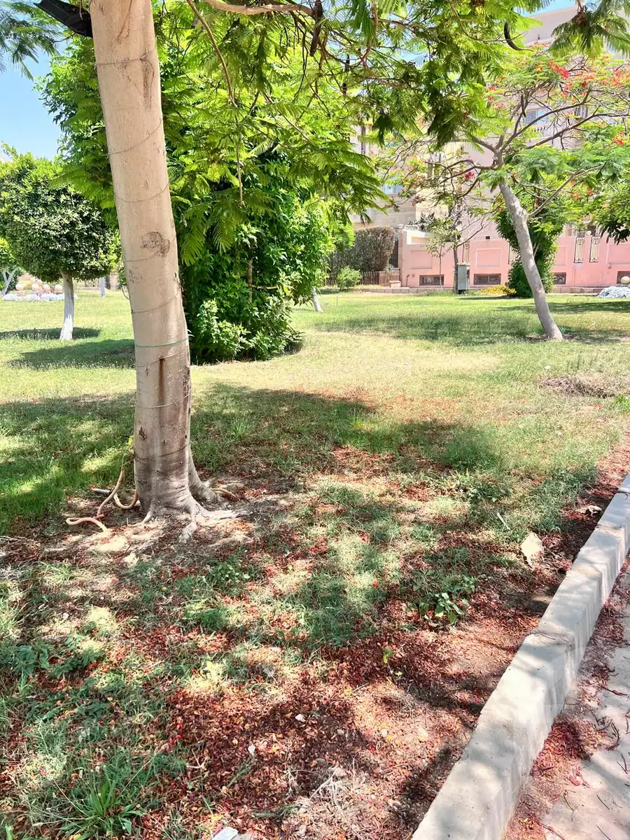 https://aqarmap.com.eg/en/listing/6093344-for-rent-cairo-new-cairo-ganob-el-akadamiya-south-academy-h-el-shaheed-mohamed-zrd-st