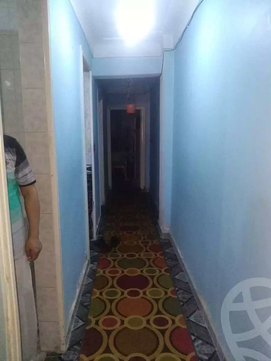 https://aqarmap.com.eg/en/listing/6094049-for-sale-alexandria-l-jmy-lbytsh-princess-st
