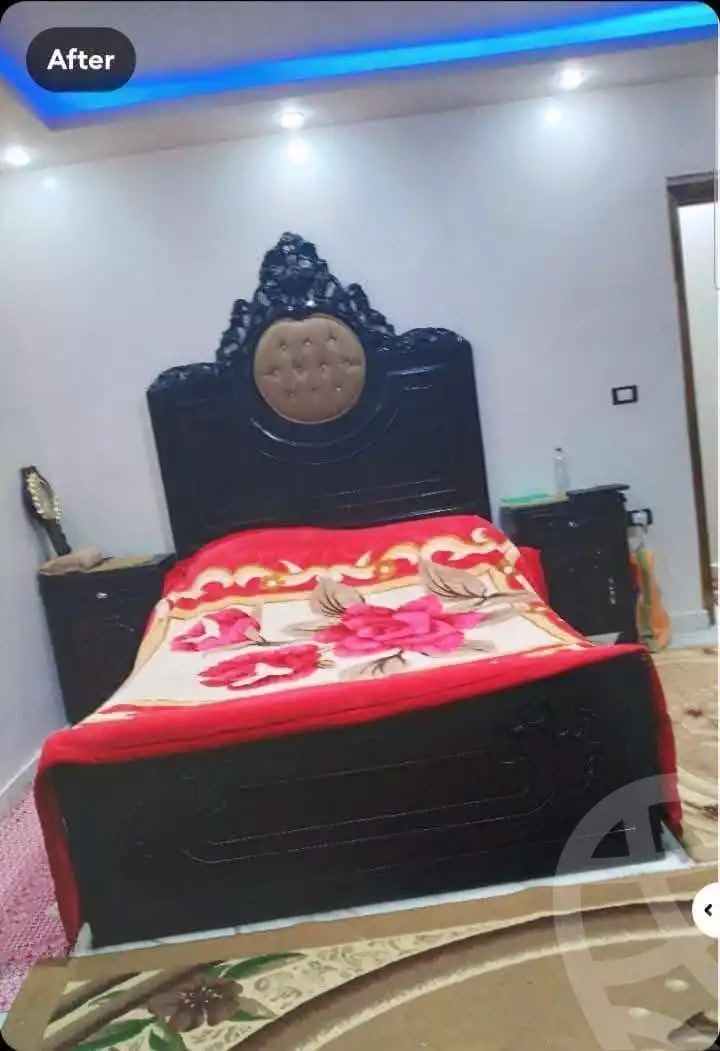 https://aqarmap.com.eg/en/listing/6096169-for-sale-alexandria-l-jmy-lbytsh-el-hay-st