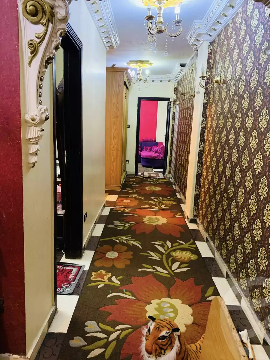 https://aqarmap.com.eg/en/listing/6100664-for-sale-alexandria-l-jmy-lbytsh-qased-kareem-st