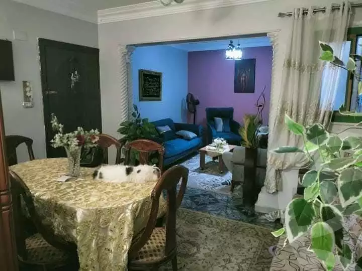 https://aqarmap.com.eg/en/listing/6101857-for-sale-cairo-ain-shams-ain-shams-el-sharkia