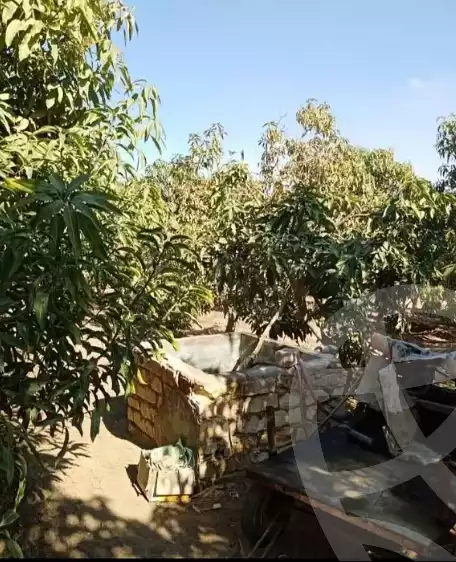 https://aqarmap.com.eg/en/listing/6101953-for-sale-ismailia-el-qantara