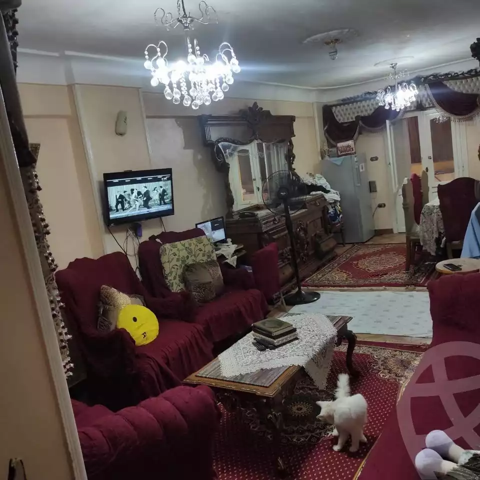 https://aqarmap.com.eg/ar/listing/6102017-for-sale-alexandria-l-jmy-lbytsh-saad-zaghloul-st