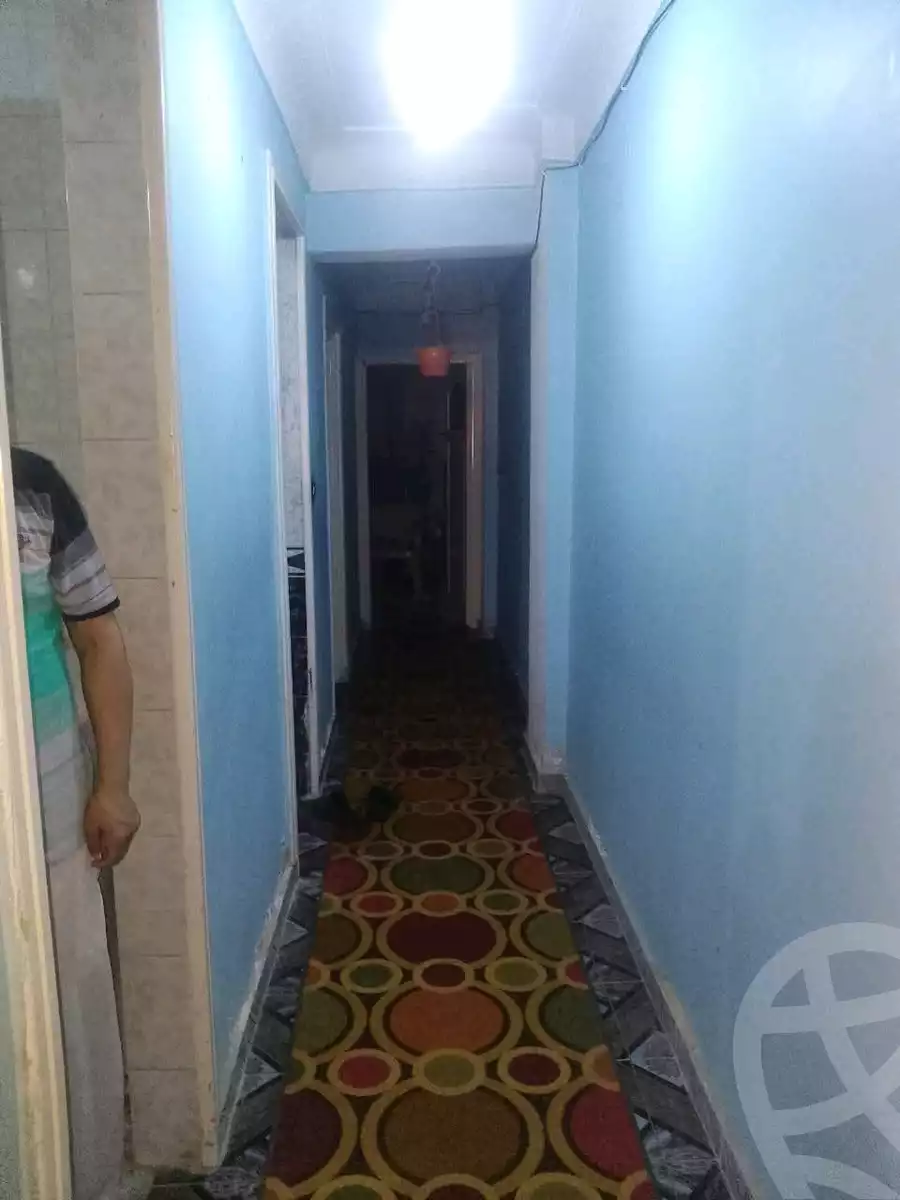 https://aqarmap.com.eg/ar/listing/6102244-for-sale-alexandria-l-jmy-lbytsh-princess-st