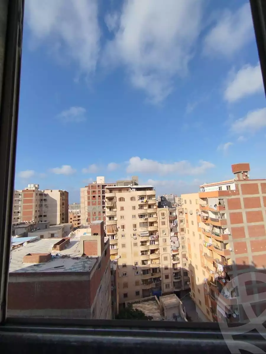 https://aqarmap.com.eg/en/listing/6104337-for-sale-alexandria-l-jmy-lbytsh-qased-kareem-st