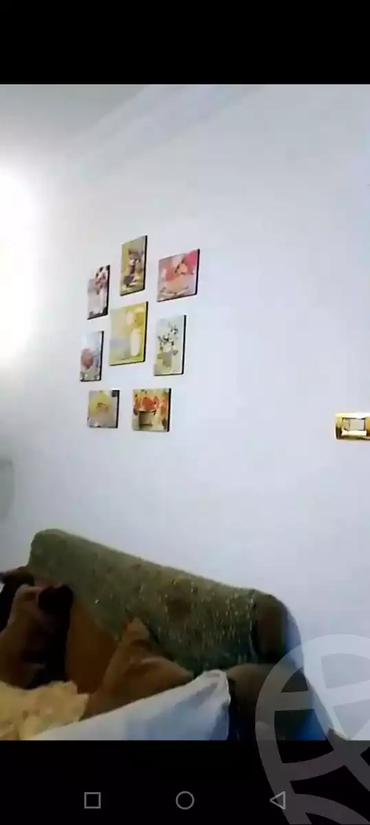 https://aqarmap.com.eg/en/listing/6106126-for-sale-cairo-faisal-el-tawabeq-hamad-yassin-st