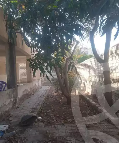 https://aqarmap.com.eg/ar/listing/6108531-for-sale-alexandria-l-jmy