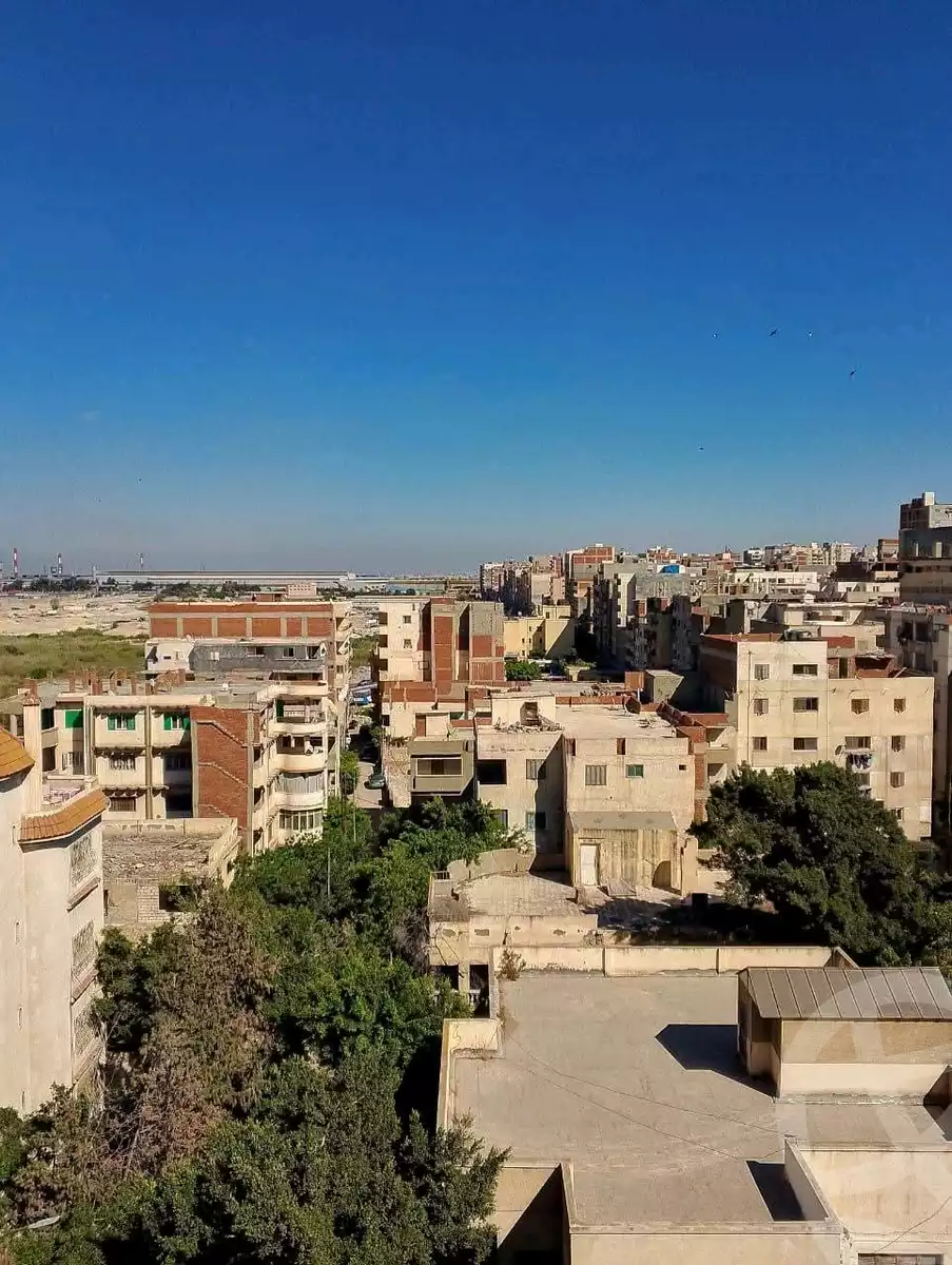https://aqarmap.com.eg/en/listing/6109223-for-sale-alexandria-l-jmy-lbytsh-al-kaada-st