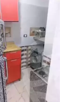 https://aqarmap.com.eg/ar/listing/6109468-for-rent-cairo-el-maadi-street-105-maadi