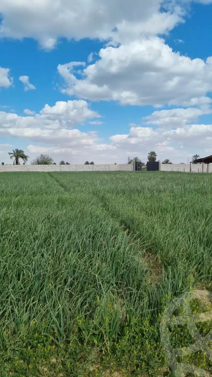 https://aqarmap.com.eg/ar/listing/6113978-for-sale-beni-suef-el-fashn-el-gfadon